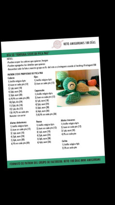 Patron Tortuga Steve de Pica Pau