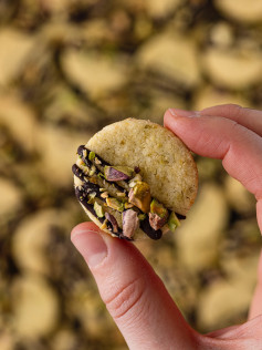 Pistazien Plätzchen – Zarte Weihnachtskekse mit gemahlenen Pistazien, Mandeln und Schokoladenglasur