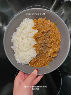 Quick and Simple Japanese Minced Beef Curry with Rice