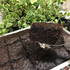 Receita do melhor bolo de chocolate do mundo: Fofinho, úmido e super fácil com ingredientes simples