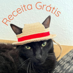 Receita Grátis: Chapéu Palha Luffy Móc Len Para Gato