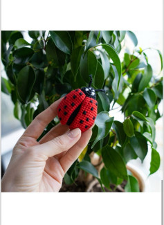 Схема вязания крючком божьей коровки: материалы и пошаговое описание