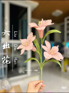 Tổng hợp chart móc len các loại hoa đẹp: Loa kèn Peru, Lan Hỏa Tinh, Cẩm Chướng