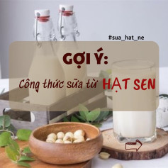 Tổng hợp công thức làm sữa hạt sen kết hợp ngô nếp, óc chó và bí đỏ cùng lợi ích sức khỏe