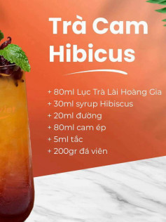 Tổng hợp công thức pha chế trà hoa Hibiscus: Trà Cam, Trà Xoài và Trà Hoa Hibiscus với nguyên liệu Lục Trà Lài Hoàng Gia