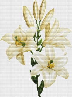 White Garden Queen Lily Cross Stitch Pattern Chart by Nastunya #26