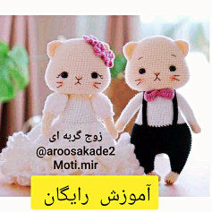 آموزش رایگان زوج گربه ای عروسک بافی