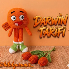 Darwin amigurumi crochet pattern with Turkish instructions and materials list