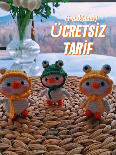 Free Crochet Duck Amigurumi Pattern with Handwritten Instructions for Body, Head, Hat and Eyes