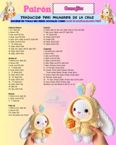 Patrón Amigurumi Conejita: Tutorial de Búho Loro con Capucha Amarilla y Zanahoria