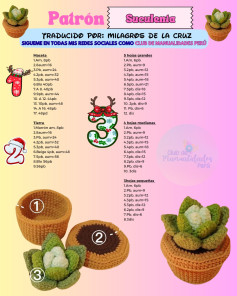 Patrón Suculenta: Guía de tejido amigurumi con maceta y hojas verdes